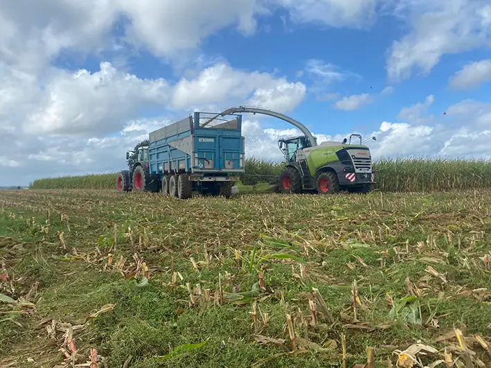 Récolte avec l'ETA Clément TP à Broons